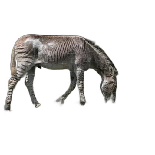 animal, creature, dragon, furniture transparent PNG cut-out