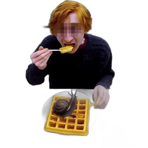 food, animal, creature, jacket transparent PNG cut-out