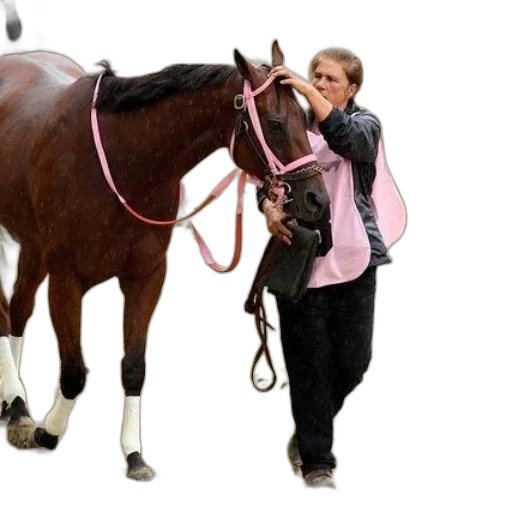 animal, staff, jacket, creature transparent PNG cut-out