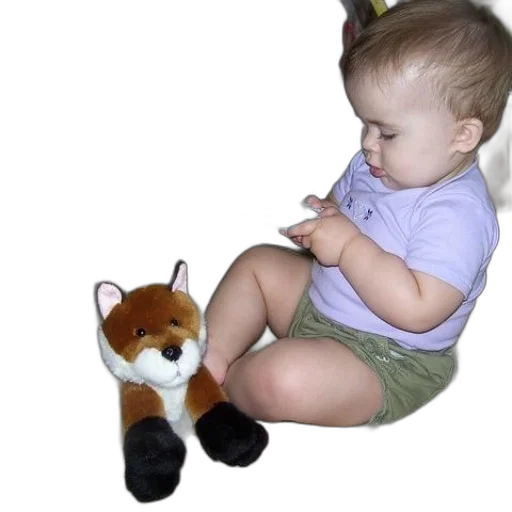 animal, creature, staff, furniture transparent PNG cut-out