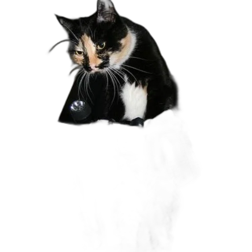 hat, animal, mask, staff transparent PNG cut-out