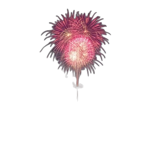 flower, staff, hair, crown transparent PNG cut-out