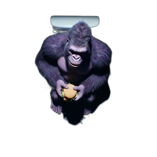 jewelry, animal, food, creature transparent PNG cut-out