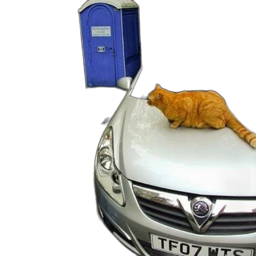 car, staff, person, takes transparent PNG cut-out