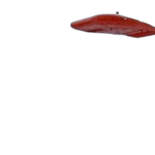 hat, food, umbrella, shoes transparent PNG cut-out