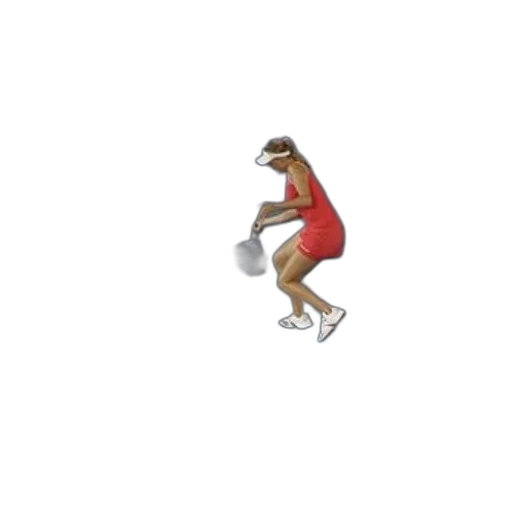 shoes, dress, hat, creature transparent PNG cut-out