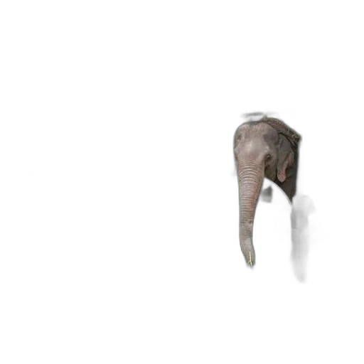 animal, creature, hair, weapon transparent PNG cut-out