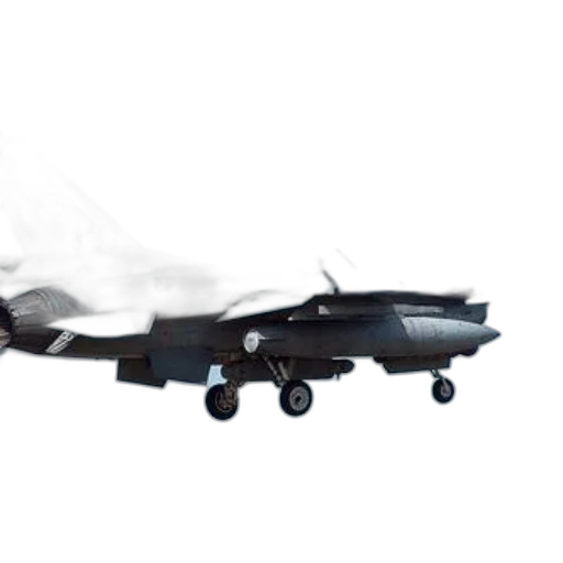 dragon, weapon, animal, robot transparent PNG cut-out