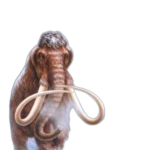 staff, animal, hair, creature transparent PNG cut-out