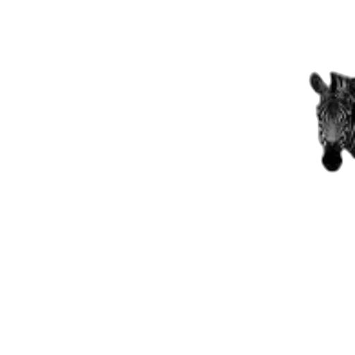 animal, dragon, creature, staff transparent PNG cut-out