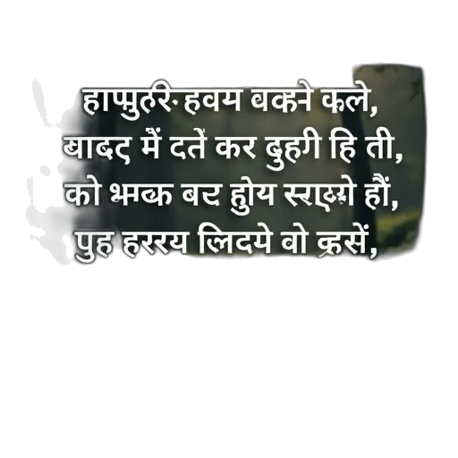 pencil sketch, rain, forest, shayri transparent PNG cut-out