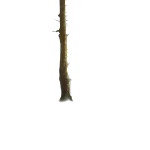 staff, sword, weapon, tree transparent PNG cut-out