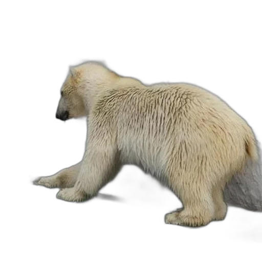 animal, creature, 3d render, concept art transparent PNG cut-out