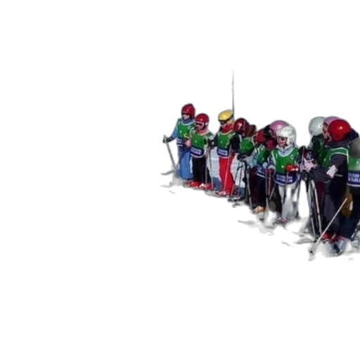 staff, snow, ski, instructor transparent PNG cut-out