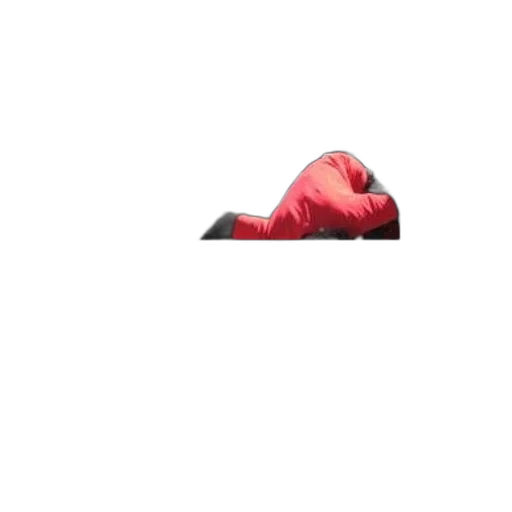 hat, animal, shoes, creature transparent PNG cut-out
