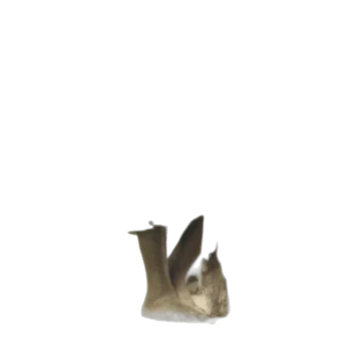 shoes, hat, animal, mask transparent PNG cut-out