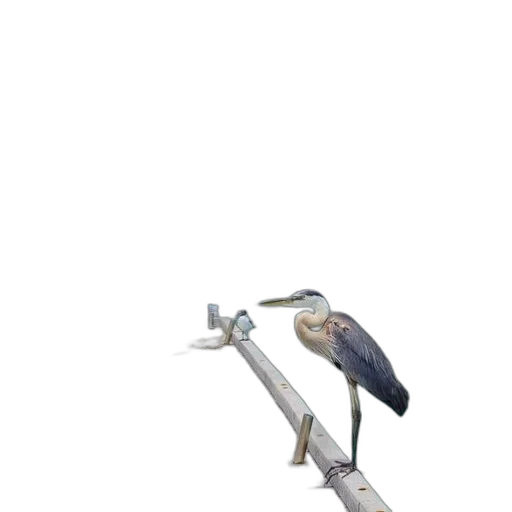 sword, weapon, staff, animal transparent PNG cut-out