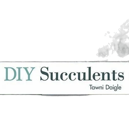 diy, succulents, book, cover transparent PNG cut-out