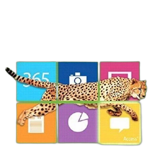 animal, colorful, book, cover transparent PNG cut-out