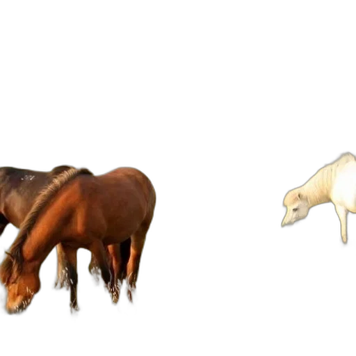 animal, creature, furniture, concept art transparent PNG cut-out