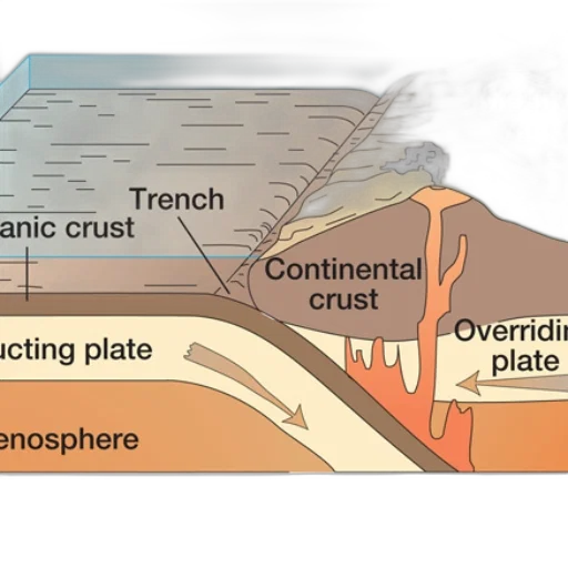 umbrella, furniture, underwater, diagram transparent PNG cut-out