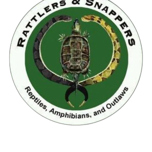 staff, logo, featuring, turtle transparent PNG cut-out