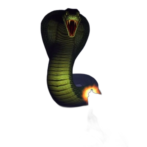 dragon, creature, animal, staff transparent PNG cut-out