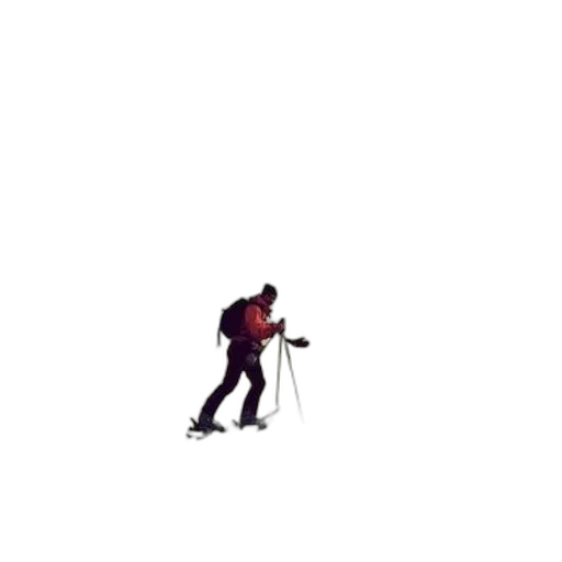 staff, sword, animal, robot transparent PNG cut-out