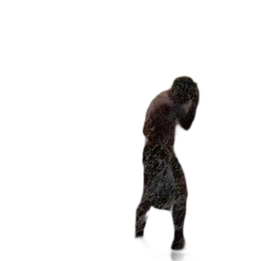 dress, animal, creature, hair transparent PNG cut-out