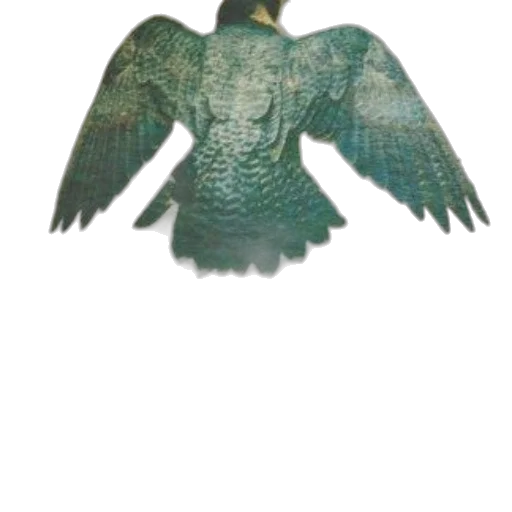 dragon, mask, animal, jewelry transparent PNG cut-out