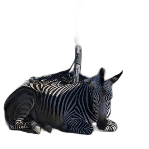 animal, dragon, creature, staff transparent PNG cut-out