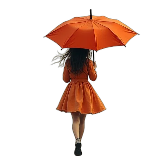 umbrella, dress, jacket, hat transparent PNG cut-out