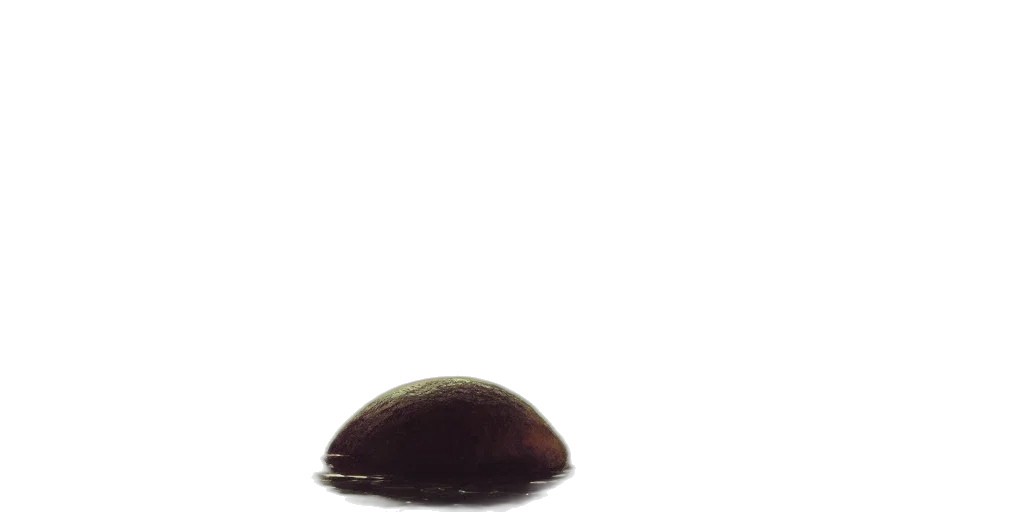 food, hat, hair, crown transparent PNG cut-out