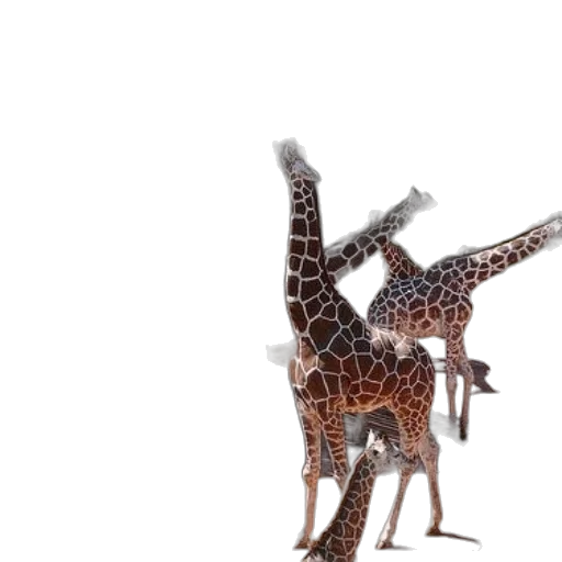 animal, creature, staff, umbrella transparent PNG cut-out