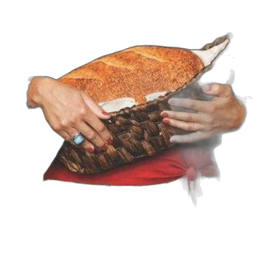 food, jacket, weapon, animal transparent PNG cut-out