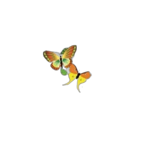 animal, flower, jewelry, creature transparent PNG cut-out