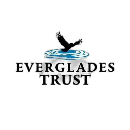 image, features, stylized, logo transparent PNG cut-out