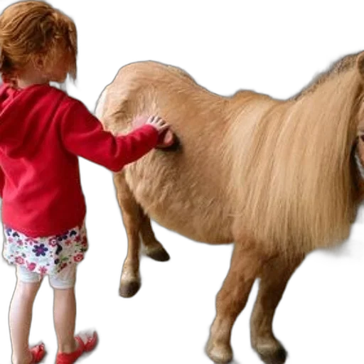 animal, hair, creature, photorealistic transparent PNG cut-out