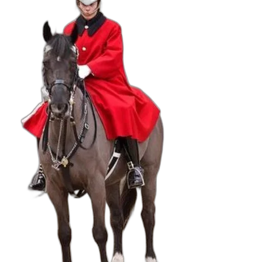 jacket, animal, hat, staff transparent PNG cut-out