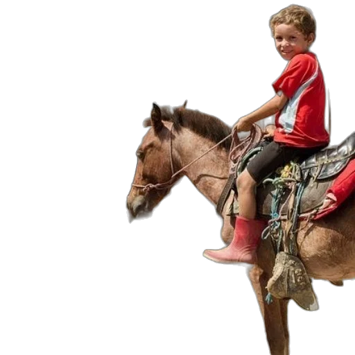 photorealistic, young, boy, rides transparent PNG cut-out