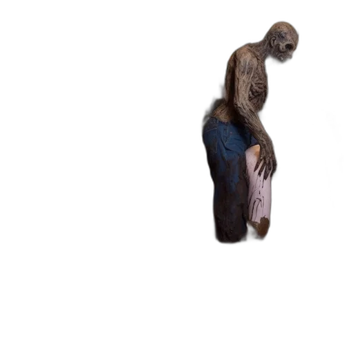 creature, animal, hair, shoes transparent PNG cut-out
