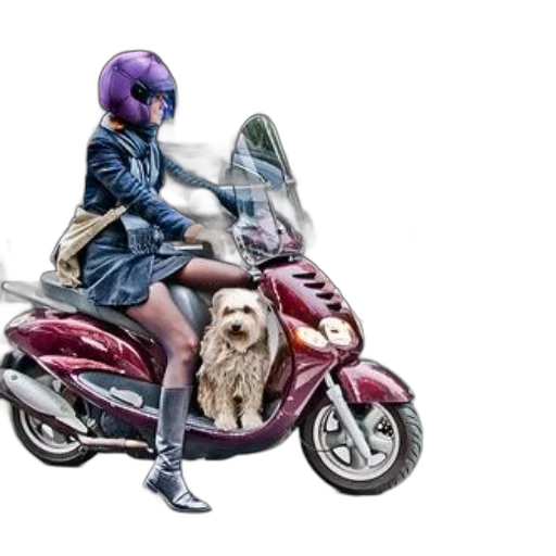 jacket, car, weapon, concept art transparent PNG cut-out