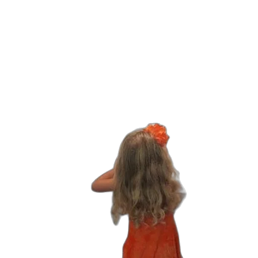dress, hair, hat, crown transparent PNG cut-out