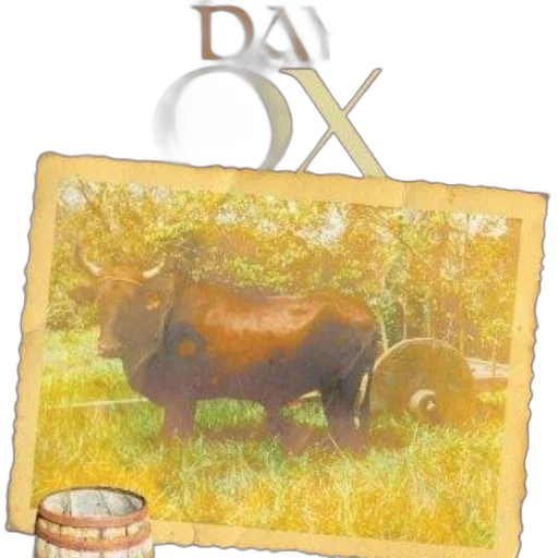 image, book, cover, title transparent PNG cut-out