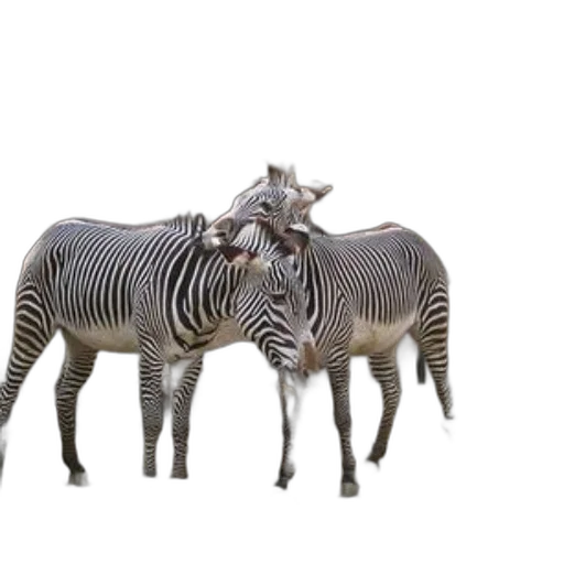 animal, creature, jewelry, furniture transparent PNG cut-out