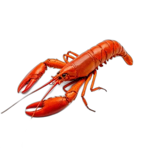 animal, food, creature, weapon transparent PNG cut-out