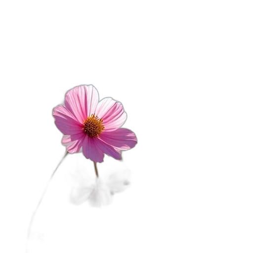 flower, crown, jewelry, hair transparent PNG cut-out