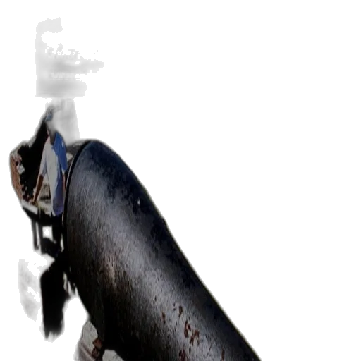 weapon, staff, sword, bottle transparent PNG cut-out