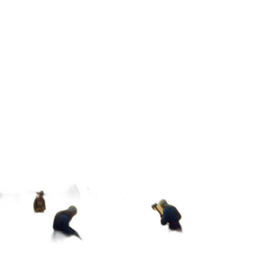 shoes, hat, animal, crown transparent PNG cut-out