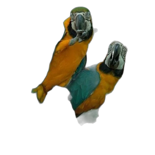 mask, shoes, robot, jewelry transparent PNG cut-out